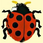 Kit ElioWorld® "ANIMALI E FIORI DIVERTENTI"-98